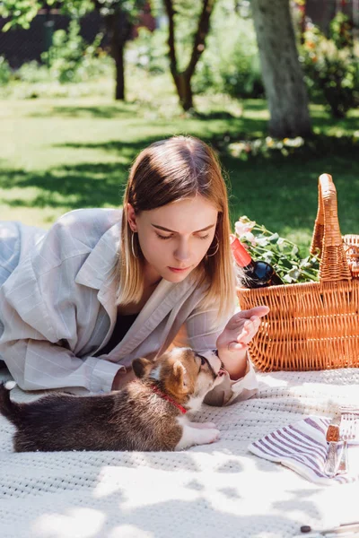 Cute puppy leaking girl hand during picnic in garden — Stock Photo