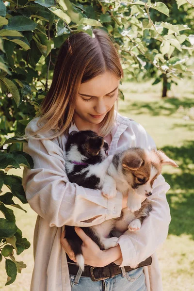 Blonde girl holding cute puppies in garden near green tree — Stock Photo