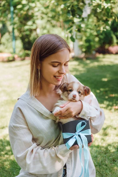 Blonde happy girl in green garden with cute puppy in gift box — Stock Photo