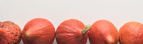 Vue de dessus des citrouilles mûres en rangée sur fond blanc, vue panoramique — Photo de stock