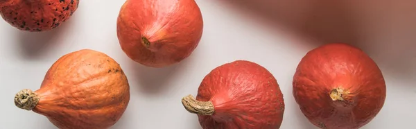 Vue de dessus de délicieuses citrouilles mûres sur fond blanc, panoramique — Photo de stock