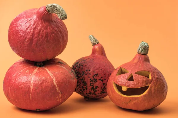 Ripe Halloween pumpkins on orange background — Stock Photo