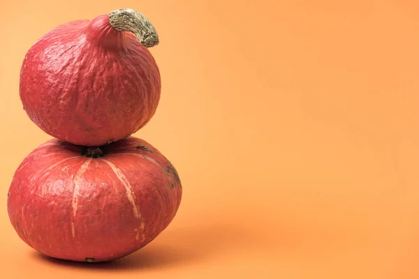 Abóboras inteiras maduras sobre fundo laranja — Fotografia de Stock