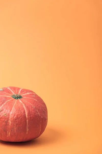 Ripe seasonal pumpkin on orange background — Stock Photo