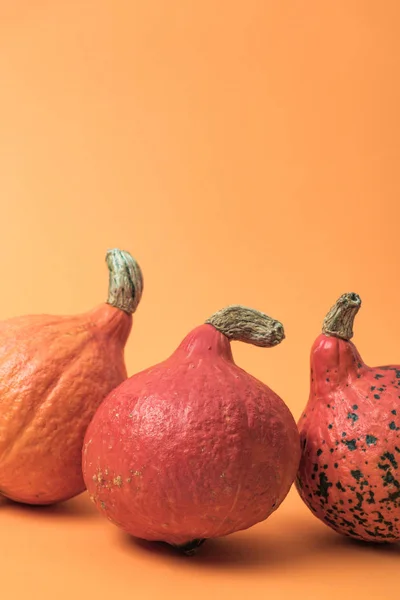 Вкусные спелые тыквы на оранжевом фоне — стоковое фото