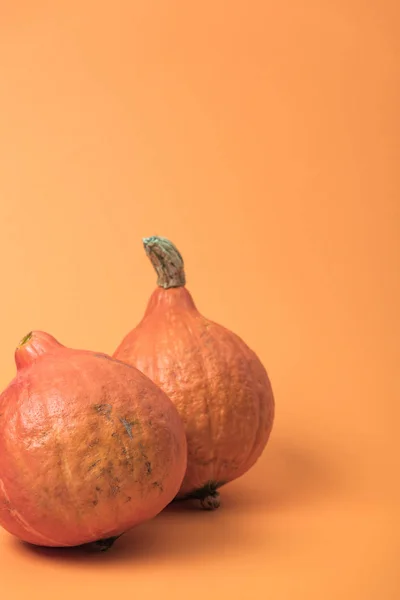 Seasonal fresh pumpkins on orange background with copy space — Stock Photo