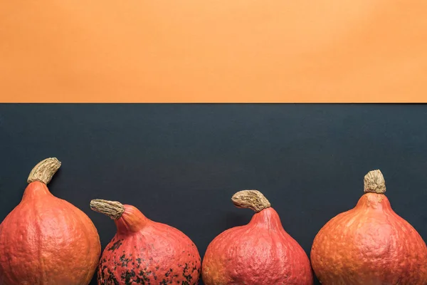 Top view of ripe pumpkin on orange and black background with copy space — Stock Photo