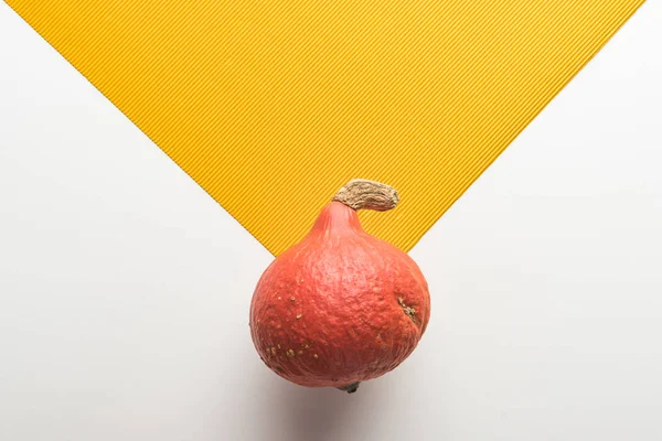 Top view of ripe pumpkin on white and orange background — Stock Photo