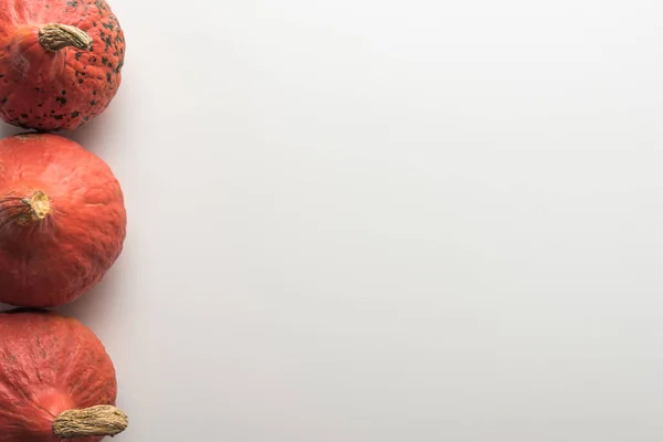 Top view of ripe pumpkins on white background with copy space — Stock Photo