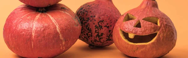 Citrouilles d'Halloween effrayantes sur fond orange, vue panoramique — Photo de stock