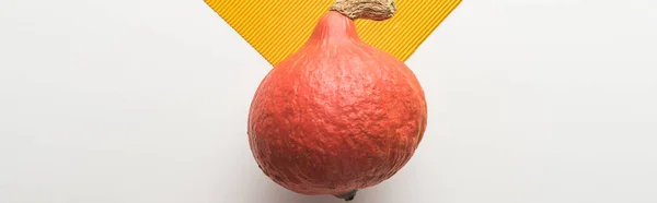 Top view of ripe pumpkin on white and orange background, panoramic shot — Stock Photo