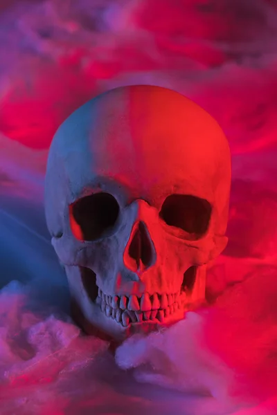 Espeluznante cráneo humano en iluminación roja con lana de algodón, decoración de Halloween - foto de stock