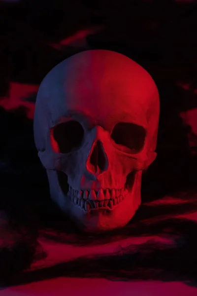 Espeluznante cráneo humano en luz roja, decoración de Halloween - foto de stock