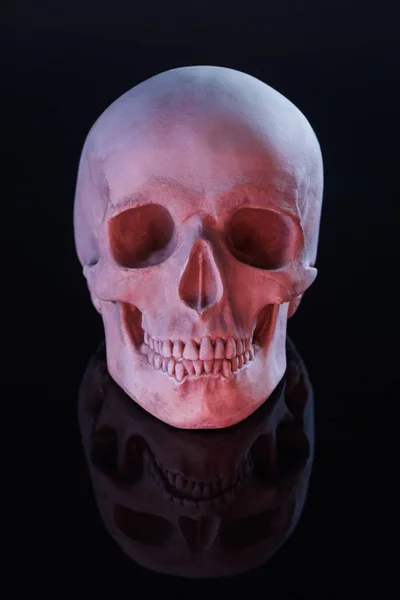 Crânio humano assustador isolado em preto, decoração de Halloween — Fotografia de Stock