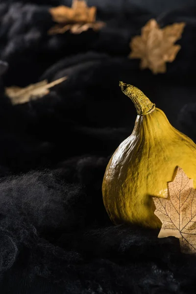 Ripe pumpkin near maple dry yellow leaves on black background — Stock Photo
