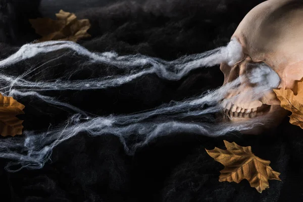 Espeluznante cráneo humano con hojas amarillas en nubes negras, decoración de Halloween - foto de stock