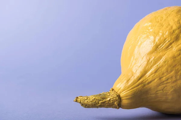 Yellow colorful painted pumpkin on violet background — Stock Photo