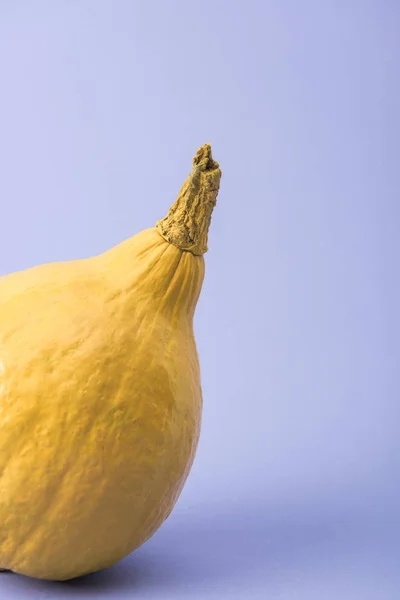 Calabaza pintada de color amarillo sobre fondo violeta - foto de stock