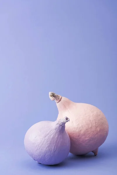Zucche dipinte colorate pastello su sfondo viola — Foto stock