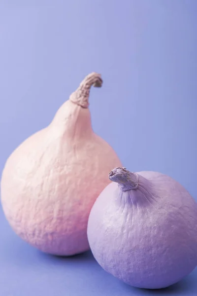 Pastel colorful painted pumpkins on violet background — Stock Photo