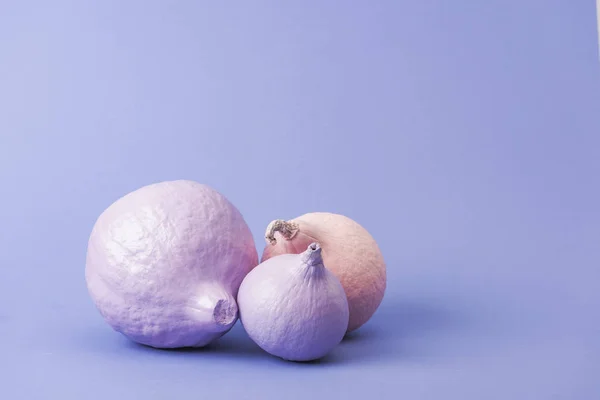 Pastel colorful painted pumpkins on violet background — Stock Photo