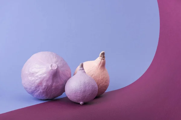 Zucche dipinte color pastello su sfondo viola e viola — Foto stock