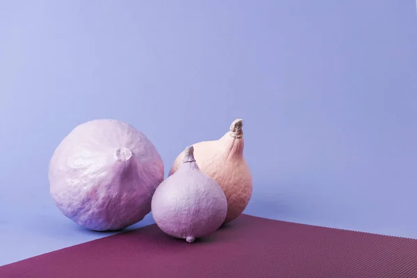 Pastell bunt bemalte Kürbisse auf violettem und lila Hintergrund — Stockfoto