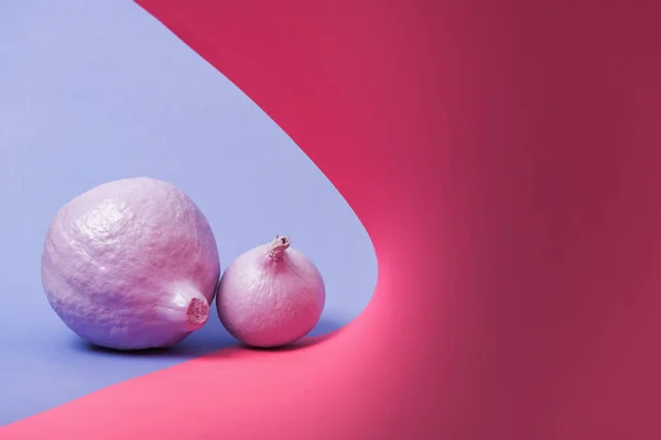 Zucche dipinte color pastello su sfondo viola e rosa — Foto stock
