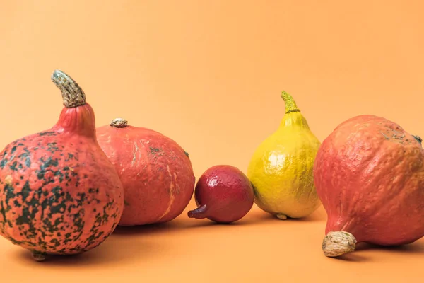 Ripe seasonal pumpkins on orange background — Stock Photo