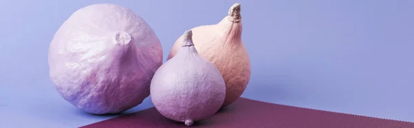 Panoramic shot of pastel colorful painted pumpkins on violet and purple background — Stock Photo