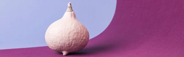 Panoramic shot of pink painted pumpkin on violet background — Stock Photo