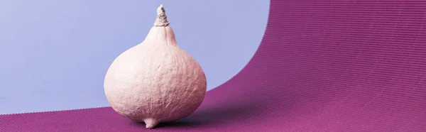 Plano panorámico de calabaza pintada de color rosa sobre fondo violeta - foto de stock