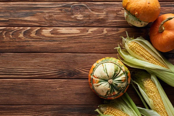 Top view of ripe pumpkins and corns on brown wooden surface — Stock Photo