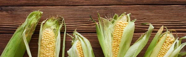 Panoramic shot of fresh corn on brown wooden surface — Stock Photo