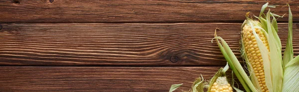 Tiro panorâmico de milho na superfície de madeira marrom com espaço de cópia — Fotografia de Stock