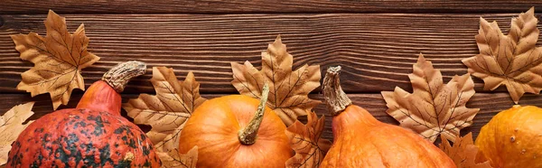 Panoramic shot of pumpkins on brown wooden surface with dried autumn leaves — Stock Photo