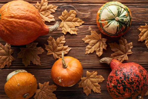 Top view of ripe pumpkins on brown wooden surface with dry autumn leaves — Stock Photo