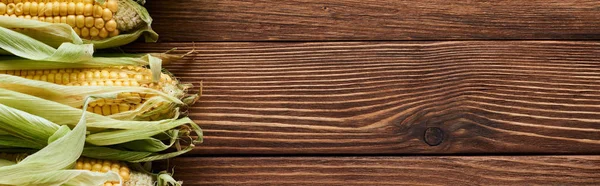 Panoramic shot of raw corn on wooden surface with copy space — Stock Photo