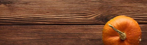 Plano panorámico de pequeña calabaza naranja sobre superficie de madera marrón con espacio de copia - foto de stock