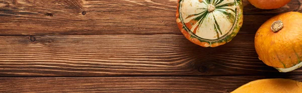 Panoramic shot of small fresh pumpkins on brown wooden surface with copy space — Stock Photo