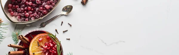 Panoramic shot of christmas cocktail with orange, pomegranate, cinnamon and frozen cranberry — Stock Photo