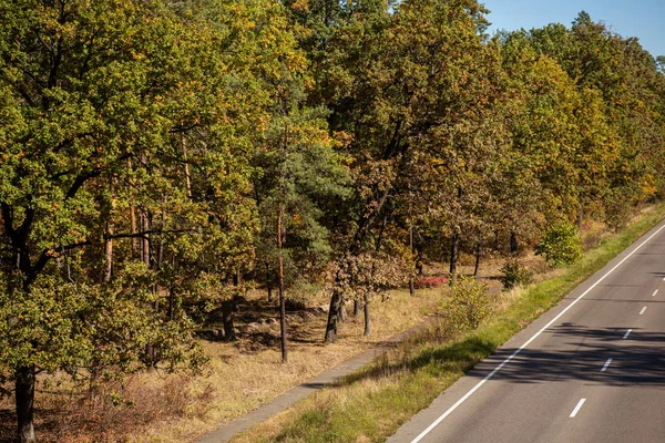 Bosque otoñal pintoresco con follaje dorado y carretera a la luz del sol - foto de stock