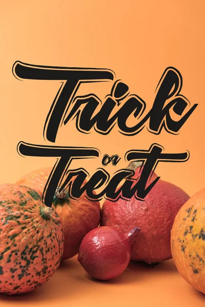 Calabaza de Halloween madura sobre fondo naranja con truco o ilustración tratar - foto de stock