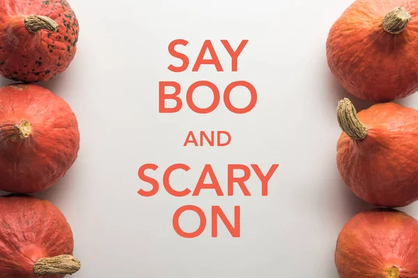 Top view of ripe pumpkins in rows on white background with say boo and scary on illustration — Stock Photo