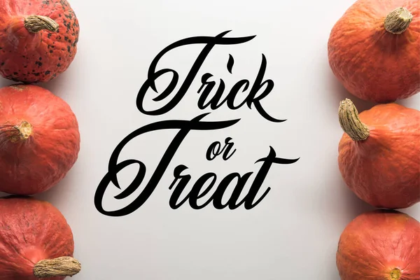 Top view of ripe pumpkins in rows on white background with trick or treat illustration — Stock Photo