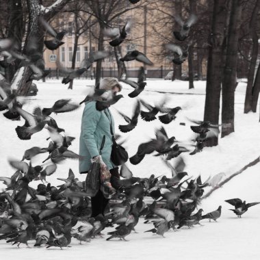 Kadın bir sürü güvercin tarafından çevrili