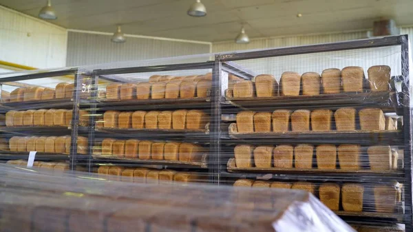 Freshly baked bread trays in a row. The bread is stored in a warehouse. Bread on shelves under cling film.