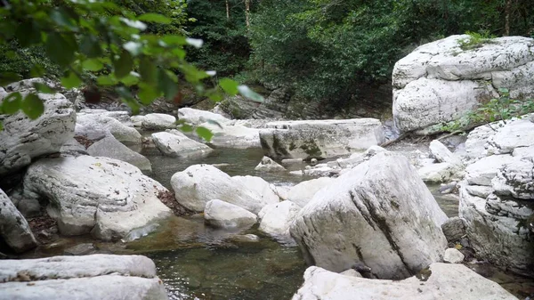 Mountain river flowing through the green forest. river through stones in the mountains. — Stock Image Mountain River Flowing Green Forest River Stones Mountains Royalty Free Stock Images