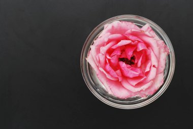 Yumuşak renk, seçici odak, Spa ve güzellik kavramı siyah arka plan kopya alanı gül çiçek pembe.