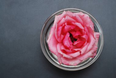 Yumuşak renk, seçici odak, Spa ve güzellik kavramı siyah arka plan kopya alanı gül çiçek pembe.